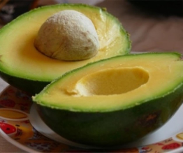 Cerveza, aguacate y tomate mexicanos, presentes en las mesas a nivel mundial Cerveza, aguacate y tomate mexicanos, presentes en las mesas a nivel mundial