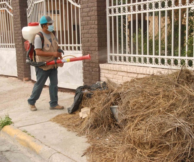 Intensifican fumigaciónen áreas de más riesgo
