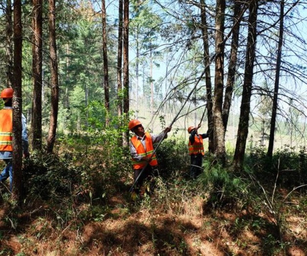 Amenazan sequía ycalor con incendios. Se registran altas temperaturas Amenazan sequía ycalor con incendios. Se registran altas temperaturas