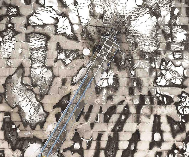 Contaminantes emergentes Contaminantes emergentes