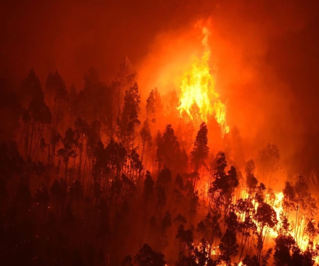 Así fue la explosiva tormenta ígnea que mató a 63 personas en Portugal Así fue la explosiva tormenta ígnea que mató a 63 personas en Portugal