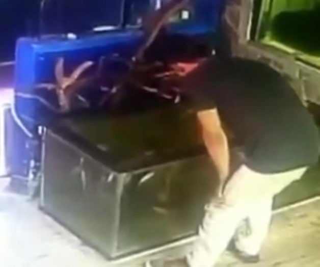 Joven roba peces en Acuario, los echo en bolsa de pantalón (Video)