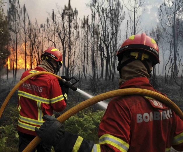 Van 62 muertos por incendios forestales. Cimbra desastre a Portugal Van 62 muertos por incendios forestales. Cimbra desastre a Portugal