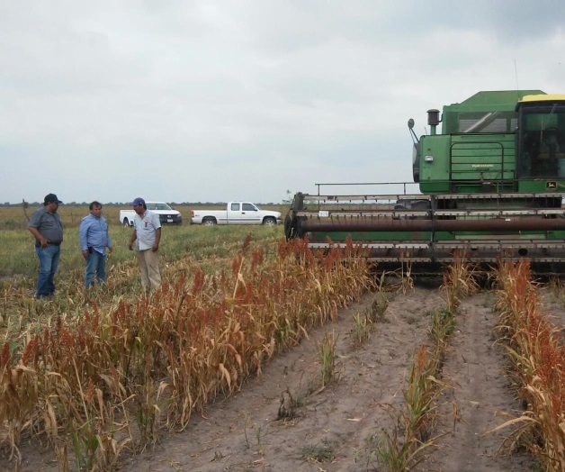 Desconocen productores el pago de sus cosechas Desconocen productores el pago de sus cosechas