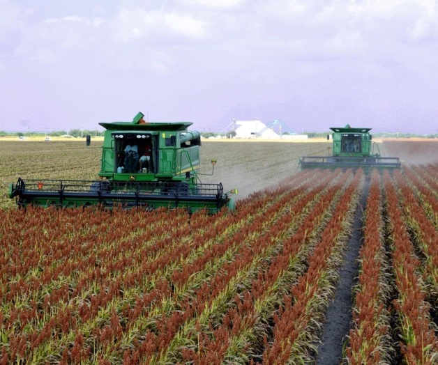 Reconocen asociaciones gestiones del Gobernador Reconocen asociaciones gestiones del Gobernador