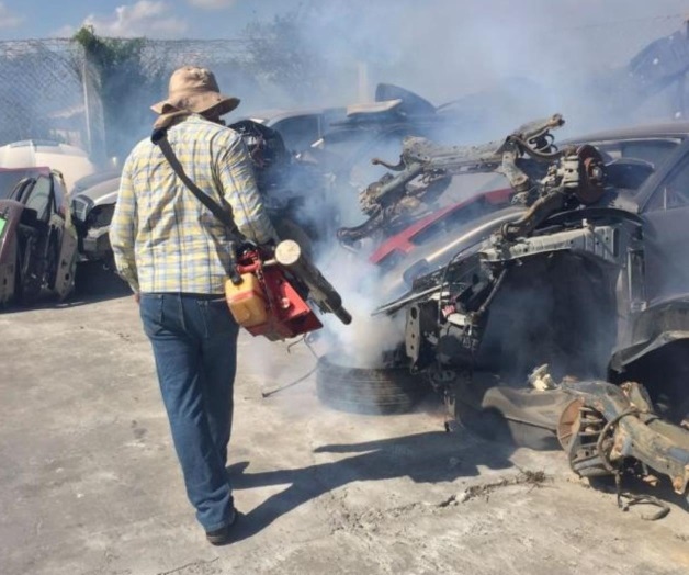 Fumigan yonques; eliminan criaderosde moscos