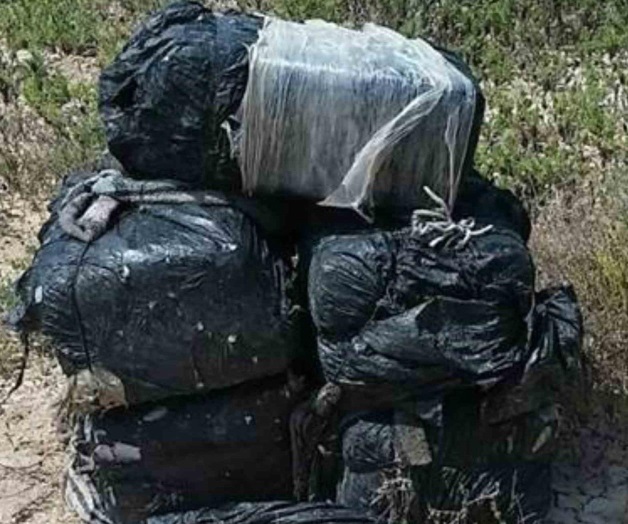 Incauta PF mariguana. Atienden denuncia anónima