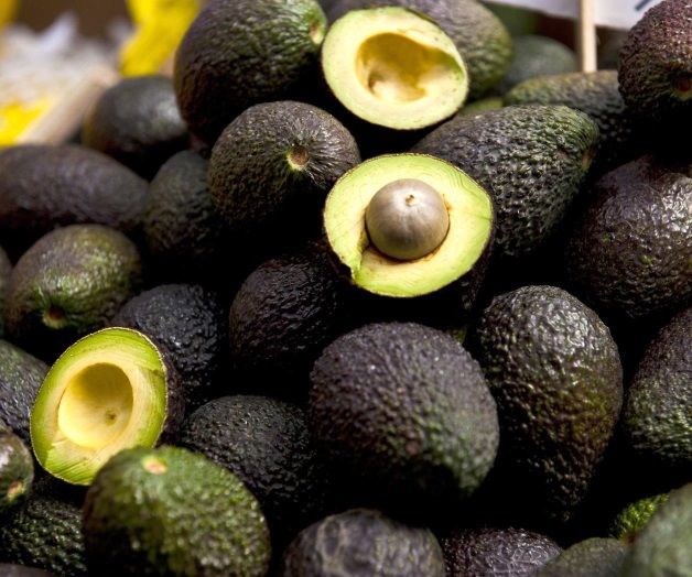 Generó aguacate más ganancias que petróleo en 2016 Generó aguacate más ganancias que petróleo en 2016