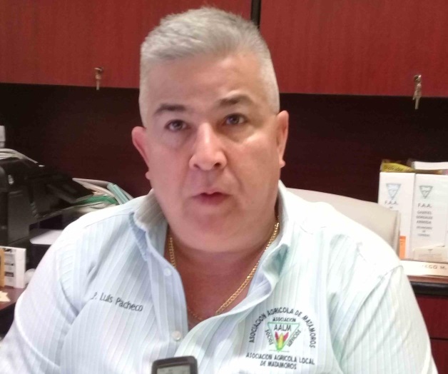 Provocó la sequía estragos al campo Provocó la sequía estragos al campo