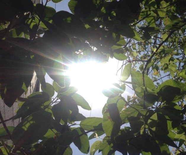 Récord de calor conentrada del verano Récord de calor conentrada del verano