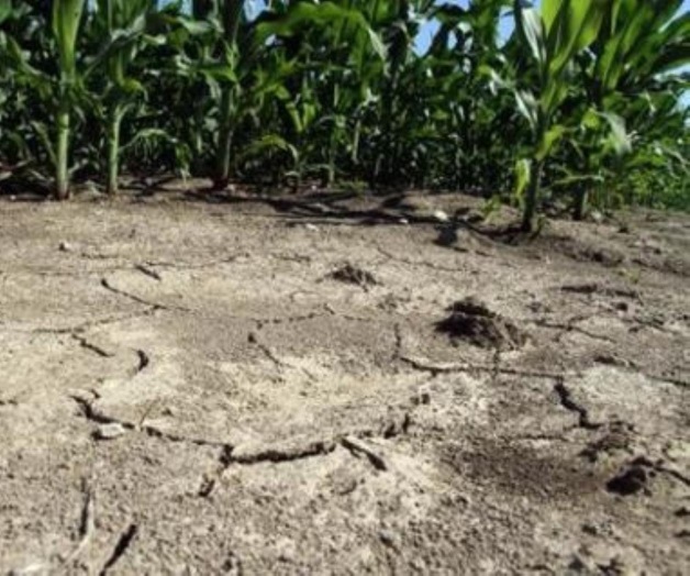 Declara Italia emergencia por sequía Declara Italia emergencia por sequía