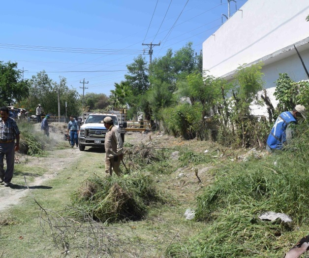 Realizan limpia de drenes para evitar inundaciones Realizan limpia de drenes para evitar inundaciones