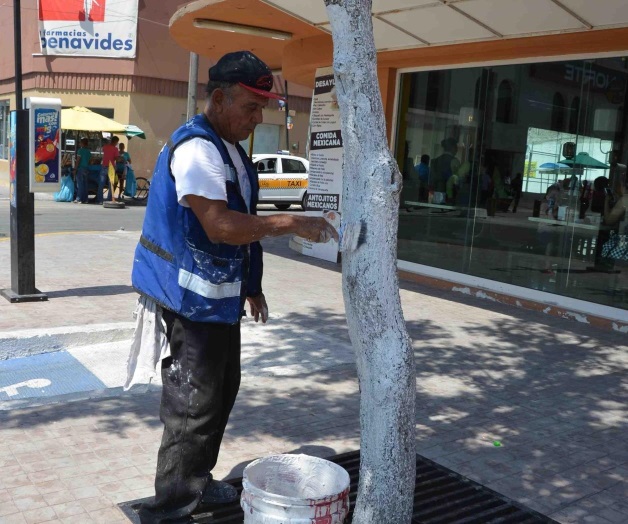 Están pintando y están arreglando Están pintando y están arreglando