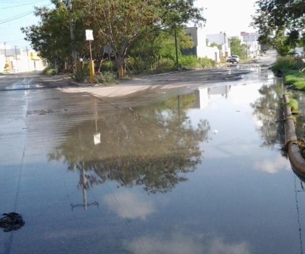 Ya están cansados de respirar fétidos olores Ya están cansados de respirar fétidos olores