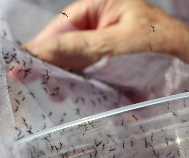 Lideran Reynosa y Tampico en dengue Lideran Reynosa y Tampico en dengue