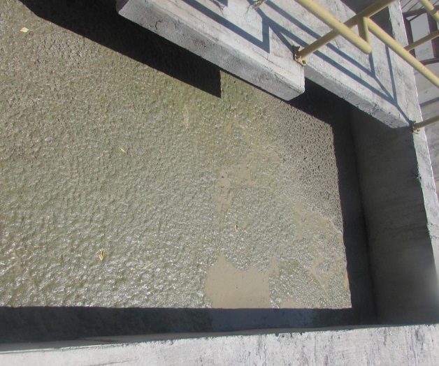 Pésima calidad del agua ‘potable’