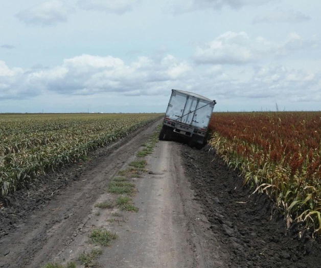 Amplían dos meses Proagro Productivo