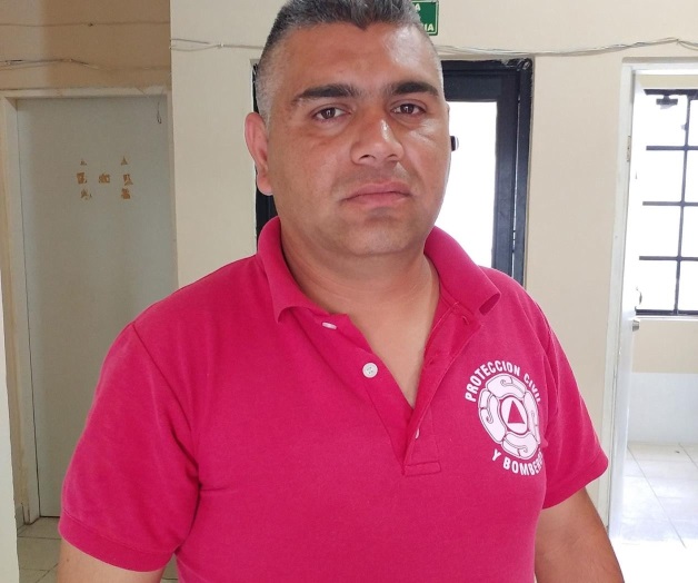 Suben reportes de abejas Suben reportes de abejas