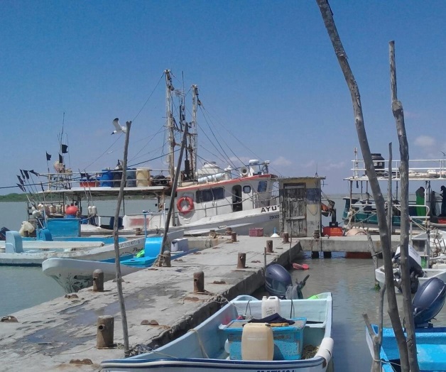 Reduce actividades el sector pesquero Reduce actividades el sector pesquero