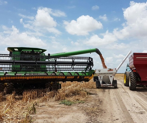 Desconocen los agricultores cual es el monto del pago de cosechas