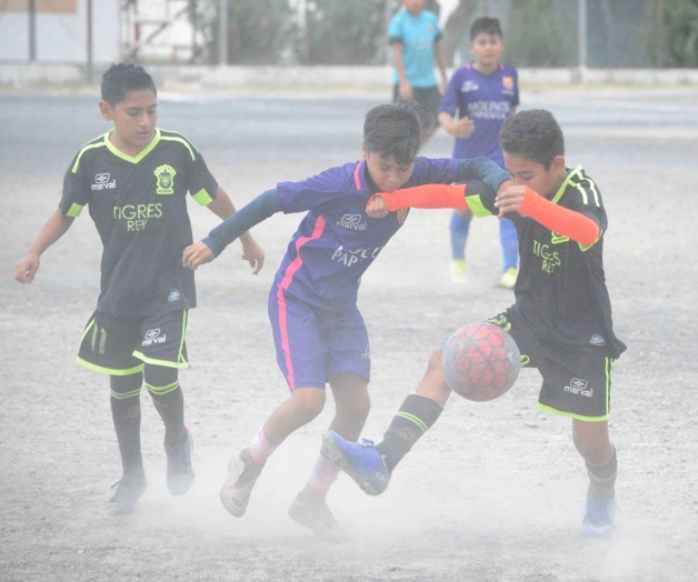Partidazo entre el Barça y Rey Tigres Partidazo entre el Barça y Rey Tigres