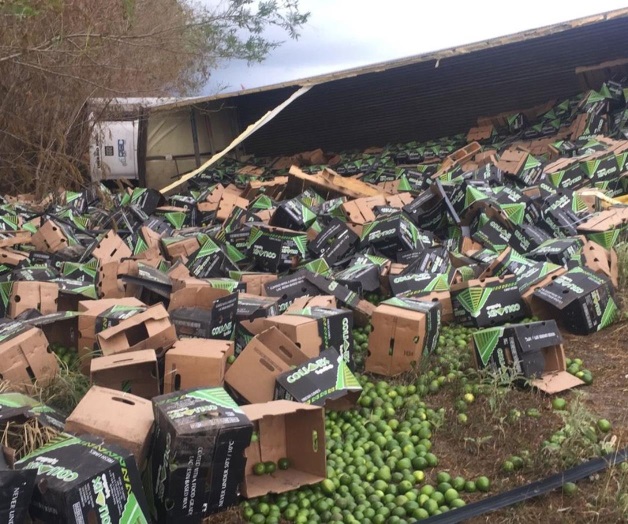 Vuelca un tráiler cargado de limón Vuelca un tráiler cargado de limón