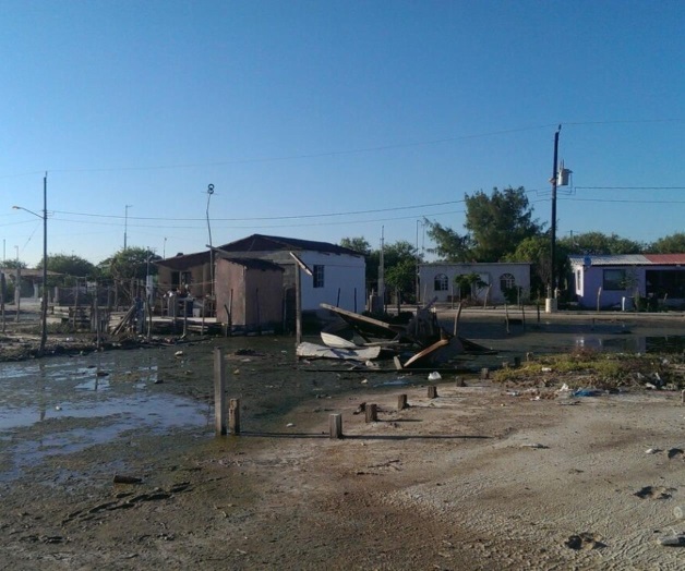 Sufren familias por ataques de moscos. Exigen realizar acciones de fumigación Sufren familias por ataques de moscos. Exigen realizar acciones de fumigación