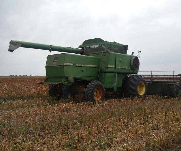 Paran trillas de sorgo por lluvias