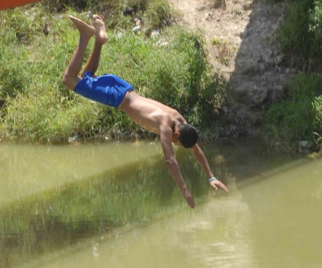 Sin miedo al peligro Sin miedo al peligro