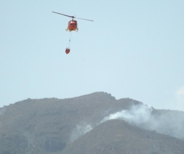 Arrasan incendios con 600 hectáreas Arrasan incendios con 600 hectáreas
