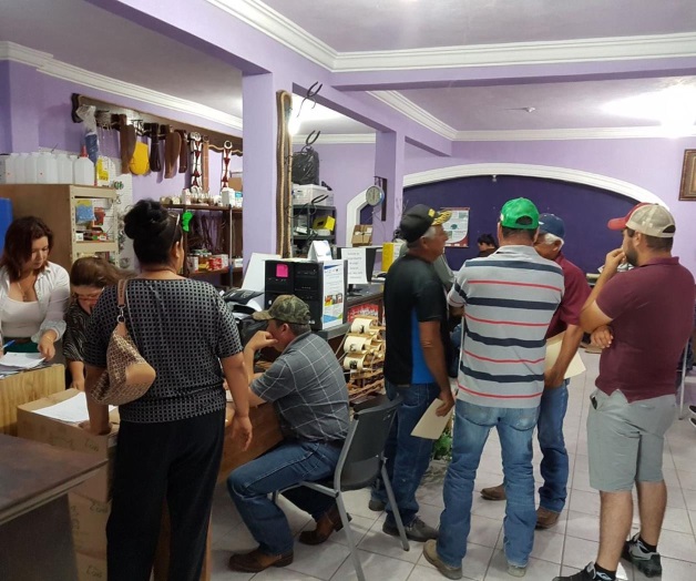 Solicitan ganaderos animales de registro