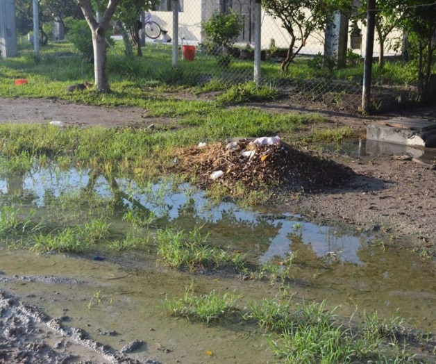 Viven entre las aguas negras Viven entre las aguas negras