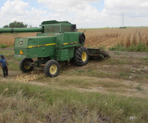 Pagan cosechas; repunta economía Pagan cosechas; repunta economía