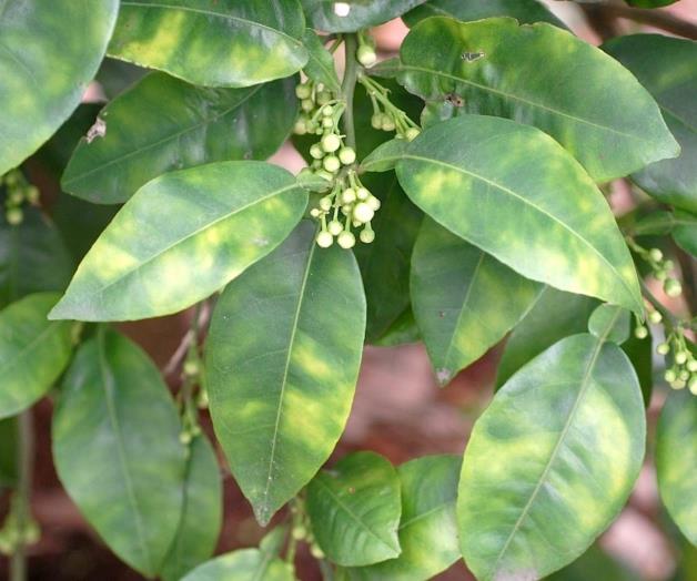 Apoya EPA una amplia gama de programas de pesticidas Apoya EPA una amplia gama de programas de pesticidas