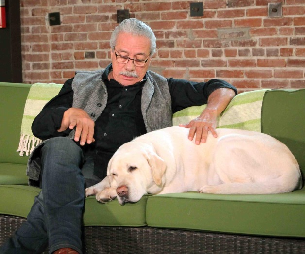 Aboga por las mascotas Aboga por las mascotas