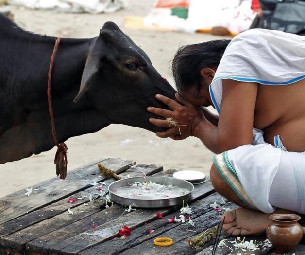 Linchan a hindú por transportar carne de vaca Linchan a hindú por transportar carne de vaca