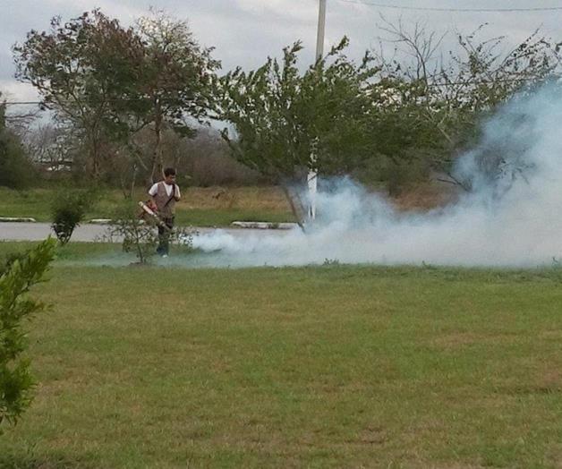 Activas acciones contra el dengue