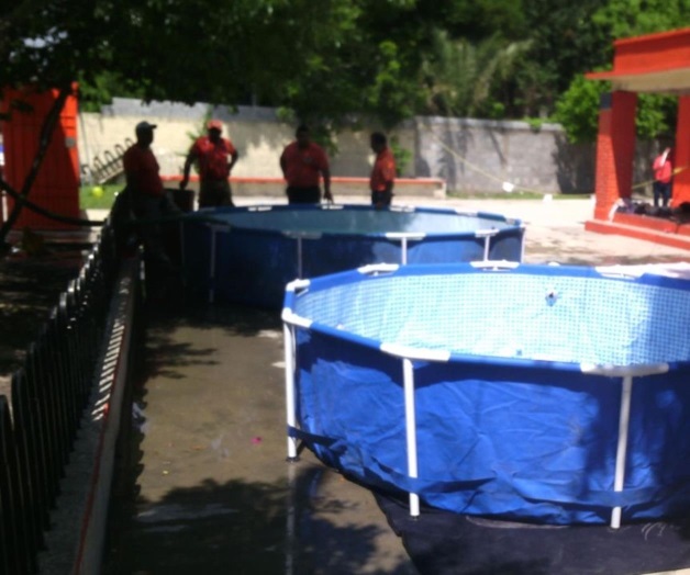 Pláticas de seguridad y prevención en albercas