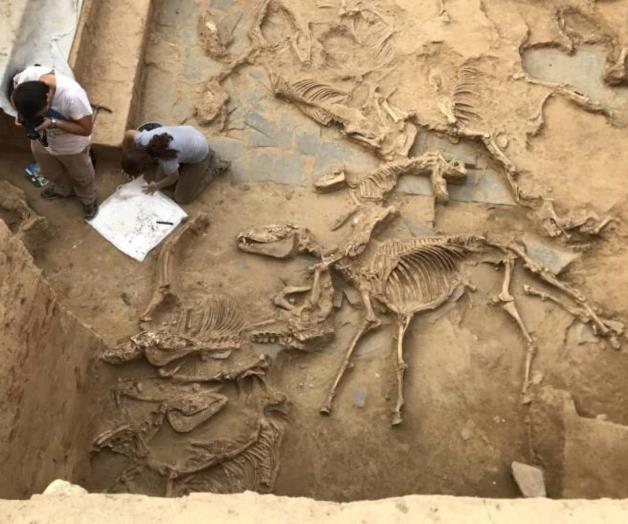 El templo tartésico que fue sellado para siempre tras un sacrificio