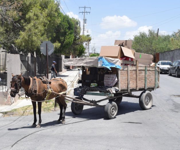 Embargan carretón y caballo para garantizar pago de daños