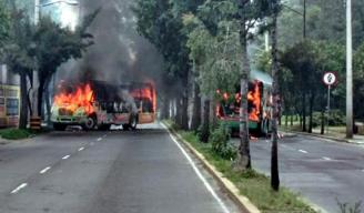 BLOQUEOS. Autobuses fueron utilizados para bloquear las avenidas y les prendieron fuego los delincuentes al servicio de “El Ojos”. 