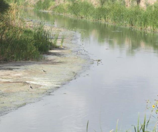 Causan estragos la sequía y el calor. Baja nivel de agua en canales