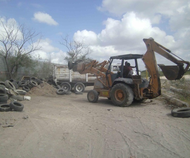 Fortalecen lucha contra dengue, zika y chikungunya Fortalecen lucha contra dengue, zika y chikungunya