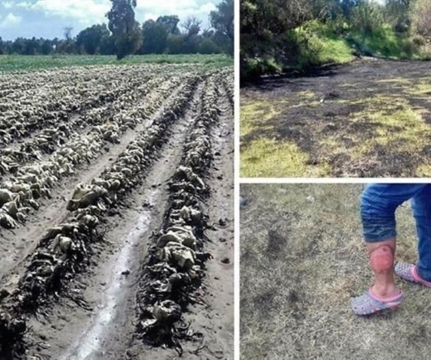 Impacta a campos agrícolas y a personas las tomas clandestinas