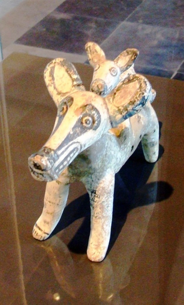 Sólo busca sobrevivir. Es el único marsupial mexicano