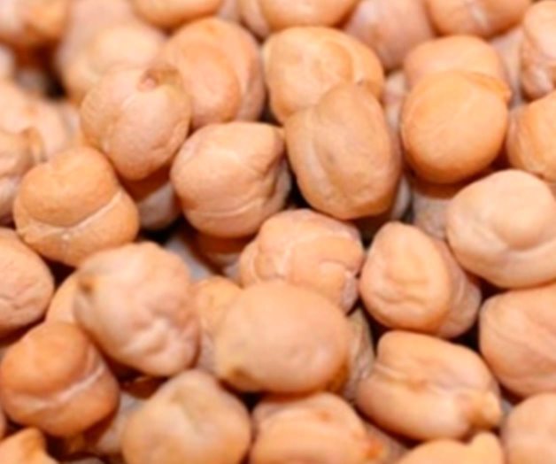 Estudiantes del IPN crean una botana nutritiva