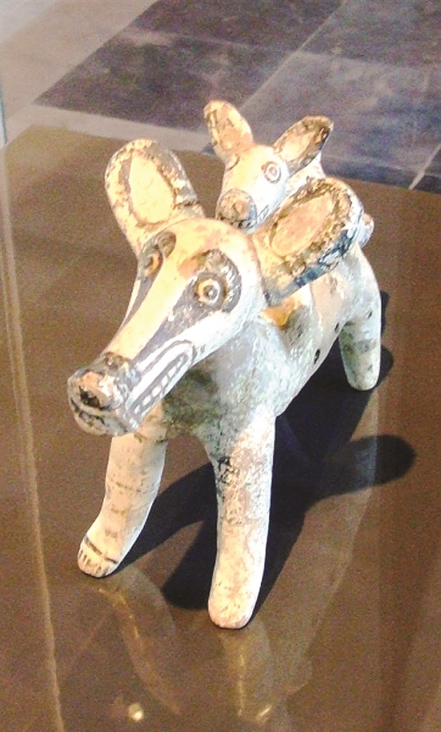 SÓLO BUSCA SOBREVIVIR