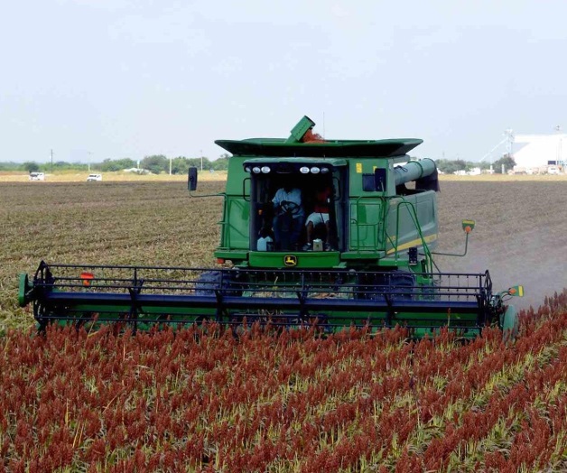 Piden ser tomados en cuenta en la renegociación del TLC Piden ser tomados en cuenta en la renegociación del TLC