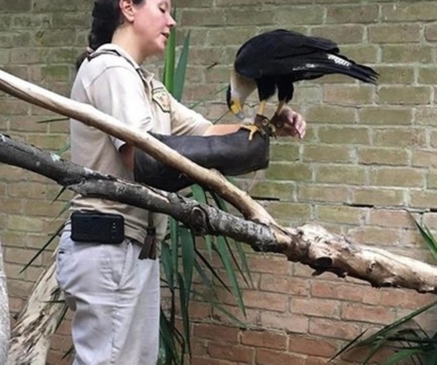 Asisten al zoológico