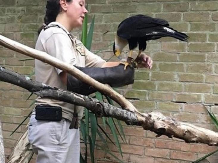 Asisten al zoológico Asisten al zoológico